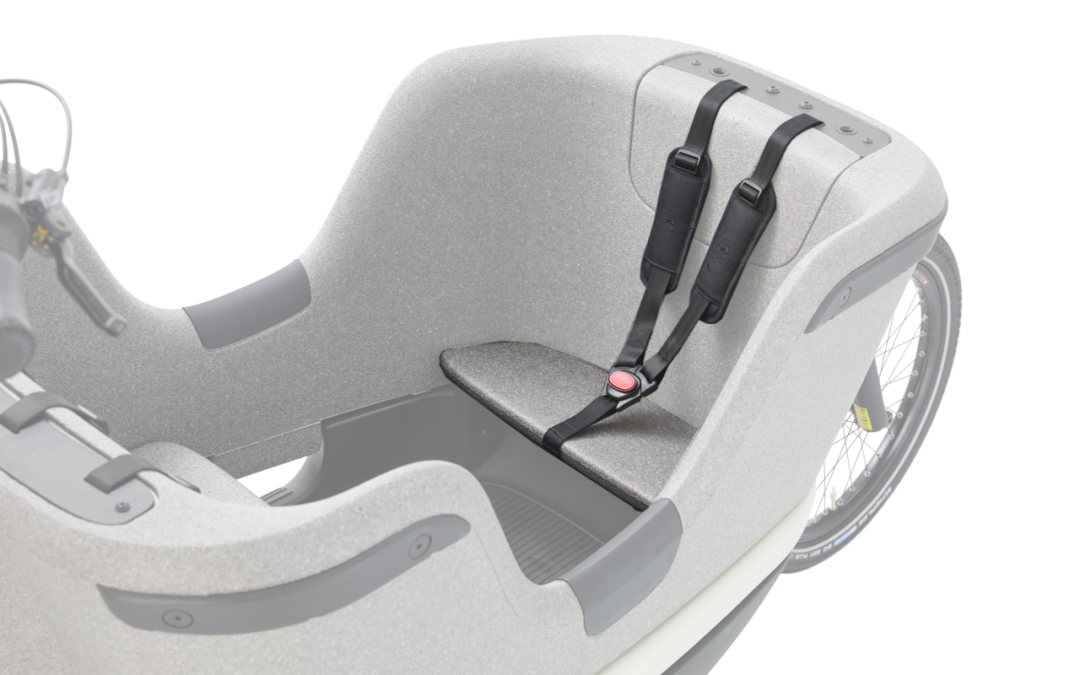 Hoe hard gaat een elektrische fiets?