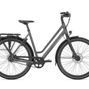 Gazelle Chamonix S11 lage instap 2024