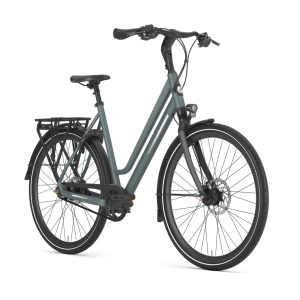 Gazelle Chamonix S8 lage instap