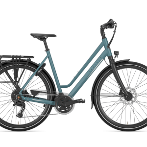 Gazelle Chamonix T20 Lage instap 2024