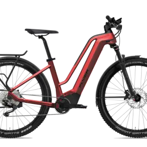 Flyer Goroc2 2.10 Comfort Mercury Red / Black Gloss