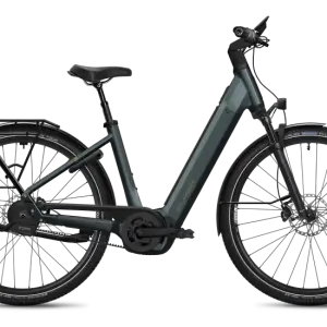 Flyer Gotour 7.23 Comfort