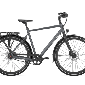 Gazelle Chamonix S11 Heren