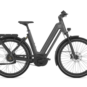 Gazelle ECLIPSE C380 HMB Lage Instap