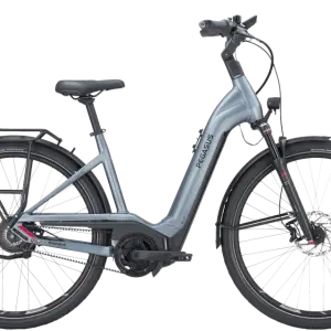 Pegasus Premio EVO NV Belt lage instap