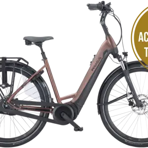 Pegasus Ravenna EVO 7F Disc lage instap