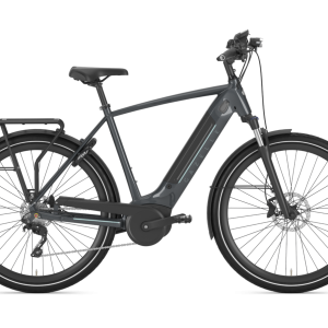 Gazelle Ultimate T10 HMB H61 Dust