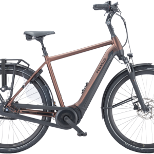 Pegasus Ravenna EVO 7F Disc heren