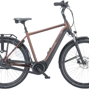 Pegasus Ravenna EVO 7F Disc heren