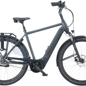 Pegasus Ravenna EVO 8F Belt